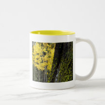 Aspen and Moss Coffee Mugs