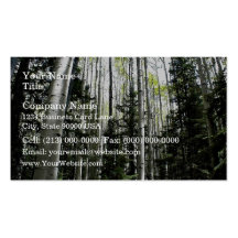 Aspen grove in forest business card templates