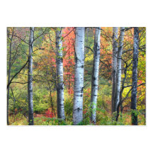 Aspens in Autumn ATC Business Card