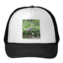 "Assabet Blue" Mesh Hats