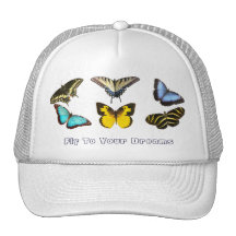 Assorted Butterfly Hat