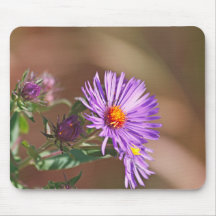 Aster Mousepads