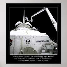Astronauts Low and Wisoff working in the Payload Poster