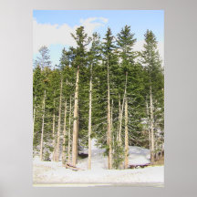 At Monarch Pass Poster