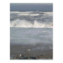 At the Beach Postcard