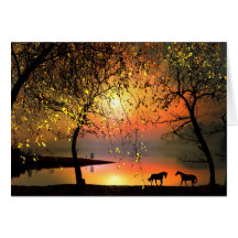 At the sunset cards