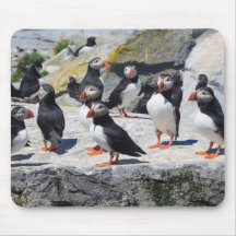Atlantic Puffin Colony Mouse Pads