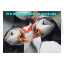 Atlantic Puffins We're Getting Married Greeting Cards