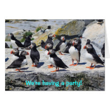 Atlantic Puffins We're Having a Party Greeting Card