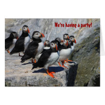 Atlantic Puffins We're Having a Party Greeting Card