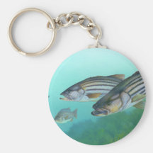 Atlantic Striped Bass Fish Morone Saxatilis Key Chains