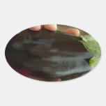 Aubergine  Oval Stickers
