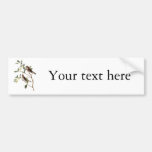 Audubon Common Redpole Bumper Sticker