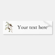 Audubon Common Redpole Bumper Sticker