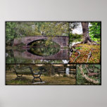 Audubon Montage Print