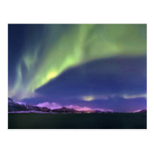 Aurora Borealis above Lyngenfjorden Norway Postcard