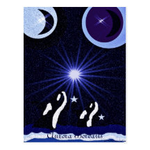 Aurora Borealis Killer Whale Moon Alaska Postcard