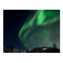 Aurora Borealis Postcard