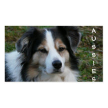 Aussie Dogs Purebred Breeder Business Card