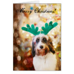 Aussie Doodle Christmas Card