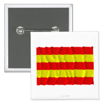 Aust-Agder waving flag Pin