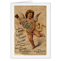 Austen's Forest Flower-1908 Card