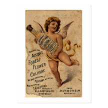 Austen's Forest Flower-1908 Post Card