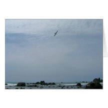 Austere Oregon Coast Card