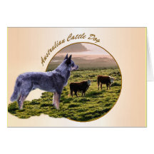 Australian Cattle Dog Art Greeting Card