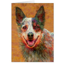 australian cattle dog card