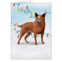Australian Cattle Dog Christmas Card