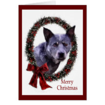Australian Cattle Dog Christmas Gifts Card