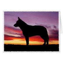 Australian Cattle Dog Greeting Cards