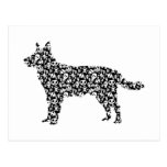 Australian Cattle Dog Post Cards
