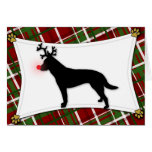 Australian Cattle Dog Reindeer Christmas Card