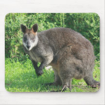 Australian Kangaroo Mouse Pad