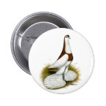 Australian Saddleback Tumbler Pinback Buttons