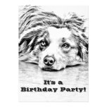 Australian Shepherd dog art Announcements