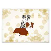 Australian Shepherd ~ Tan Leaves Motiff Photograph