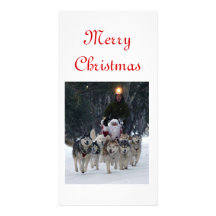Australian Sleddog Tours Photo Card