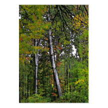Autumn Aspens ATC Business Card