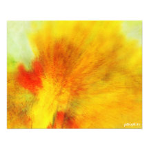 Autumn Aspens Photo