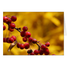 Autumn Berries Cards