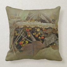 Autumn Bittersweet Berries and Vine Throw Pillows