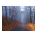 Autumn Fog Post Card