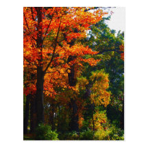 Autumn foliage postcards