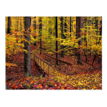 Autumn Footbridge,postcard