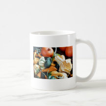 Autumn Gourds Mug