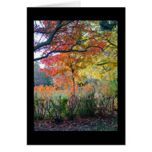 Autumn Greeting Cards