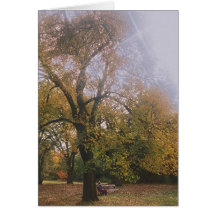Autumn in Melbourne Card